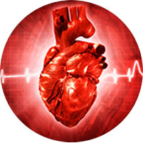 Curcumin healthy heart